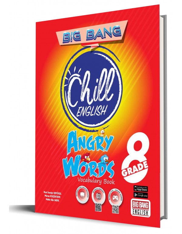 8.Sınıf Big Bang Chill English ANGRY WORDS Vocabulary Book
